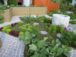 Gemüsegarten