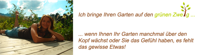 Portrait und Einleitungstext
